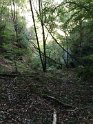 2018-09-20 11-10-19 Rando Combas